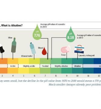 La importancia del PH en la diabetes